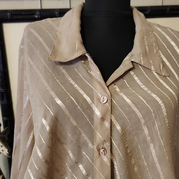 Long, Sheer Beige Blouse - Picture 2 of 4